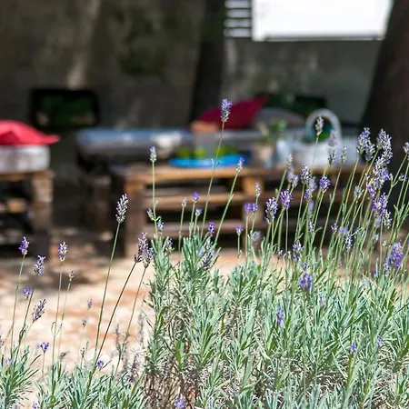 Appartement House Kalinic